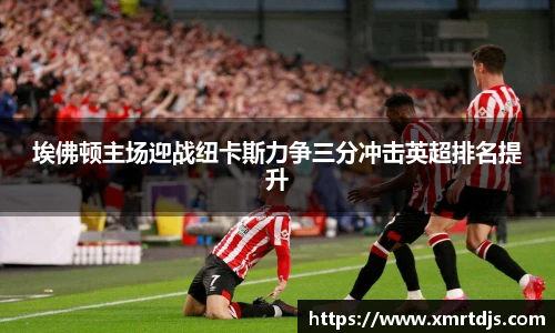 埃佛顿主场迎战纽卡斯力争三分冲击英超排名提升